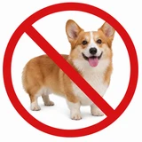 Corgi Capital logo